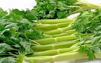 Công dụng trị bệnh của cần tây